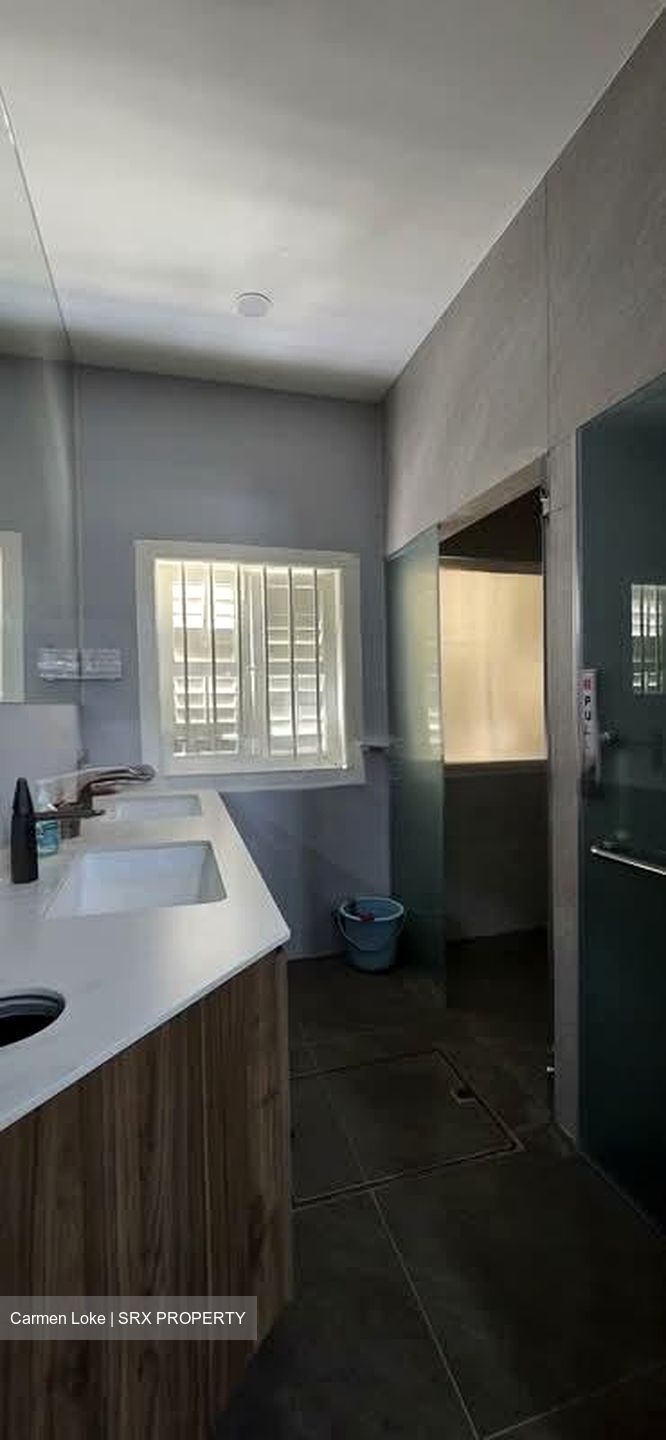 Duxton Road (D2), Shop House #575781181